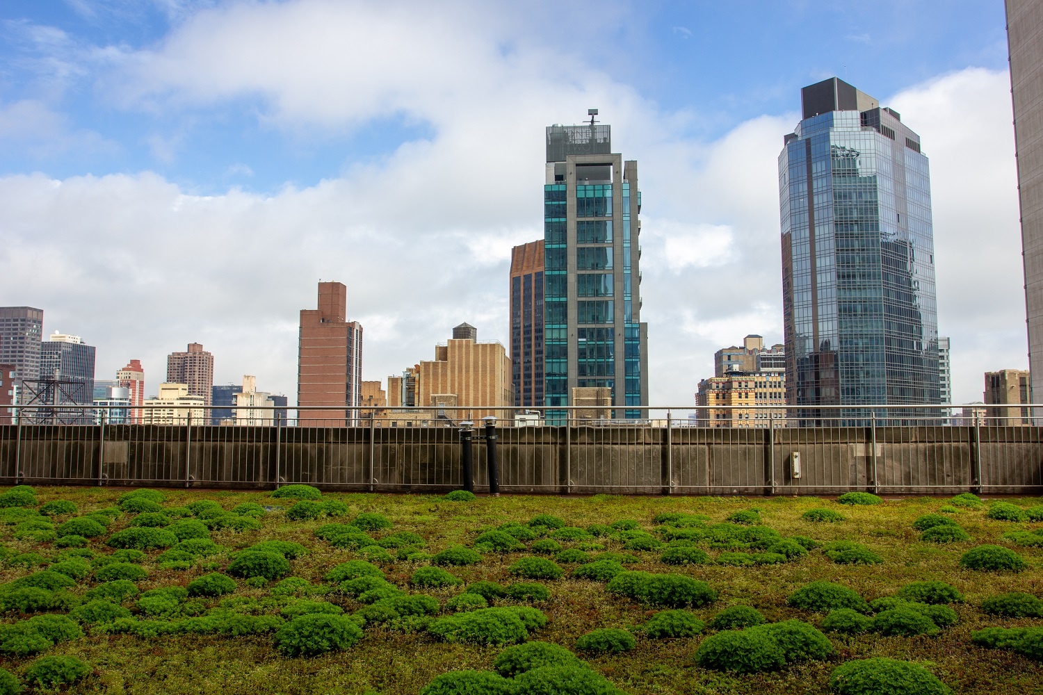 A picture of the Empire State Building's green roof and the skyline beyond.